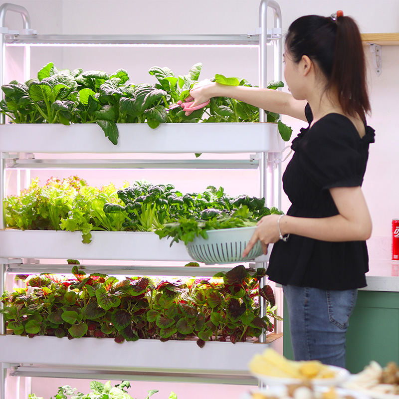 Sistema de cultivo hidropônico - Smart Garden Stackable Planters avaliação e preço
