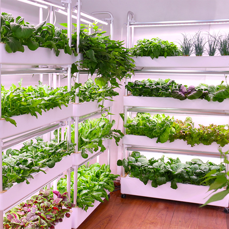 Sistema de cultivo hidropônico - Smart Garden Stackable Planters avaliação e preço