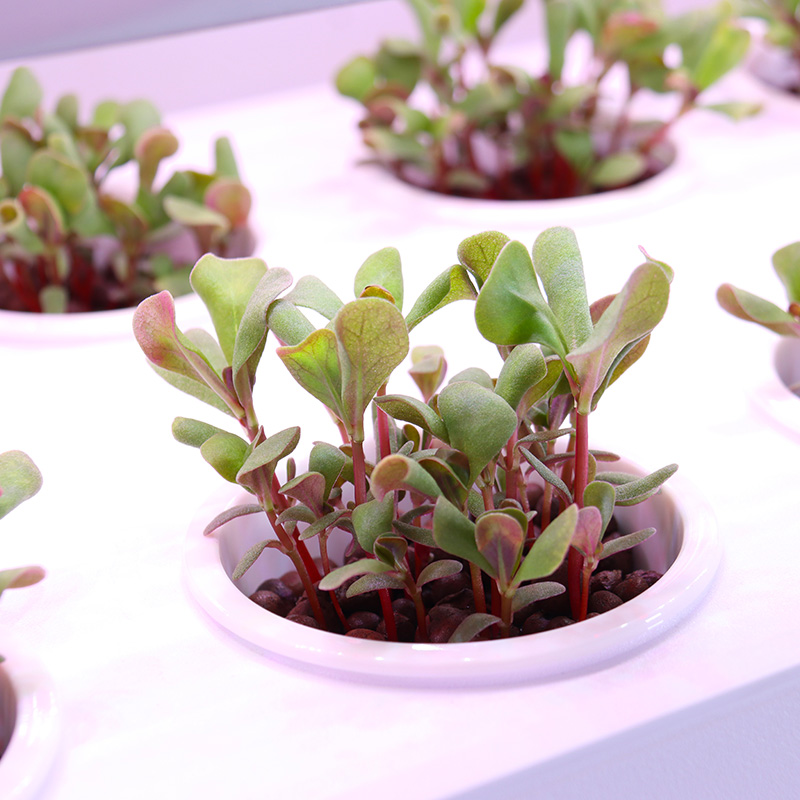 Sistema de cultivo hidropônico - Smart Garden Stackable Planters avaliação e preço