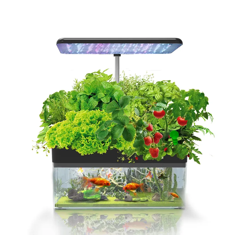 Marca IGS-70 Sistema de Cultiv - Smart Garden avaliação e preço