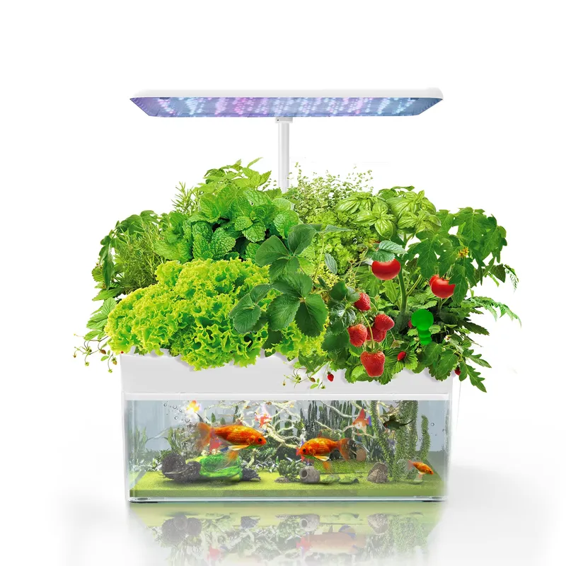 Marca IGS-70 Sistema de Cultiv - Smart Garden avaliação e preço