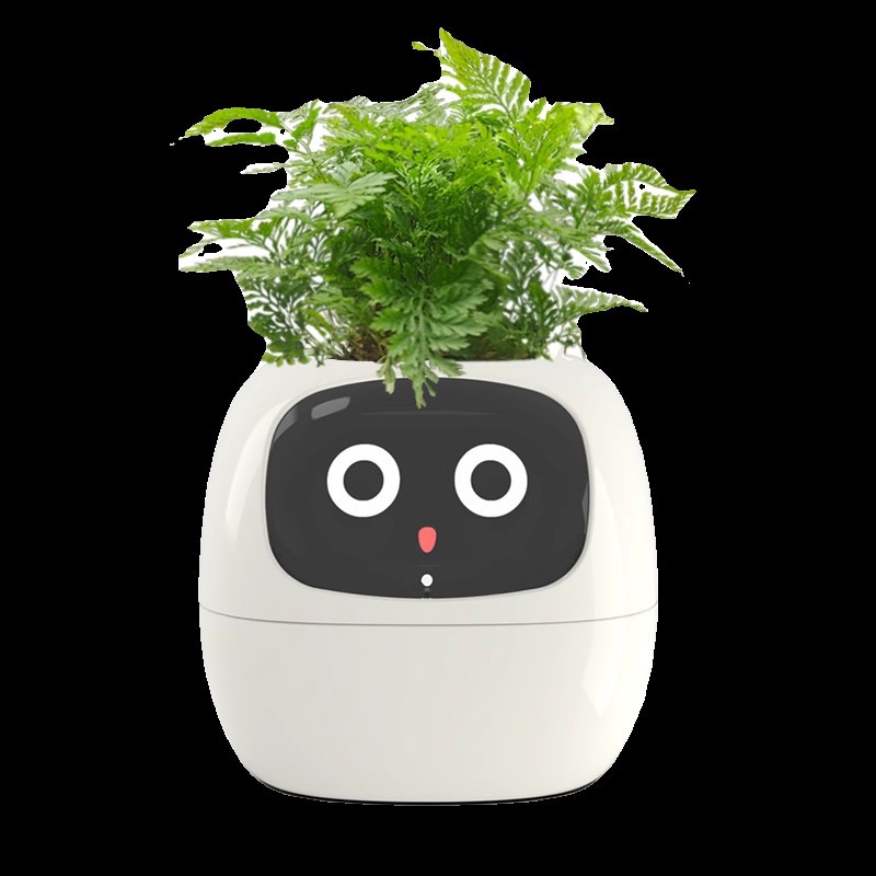 Vaso de Flores Inteligente Sen - Self Watering Pot Sensor avaliação e preço