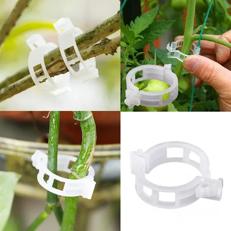 100 pçs clipes de fixação de p - Smart Garden Hub avaliação e preço